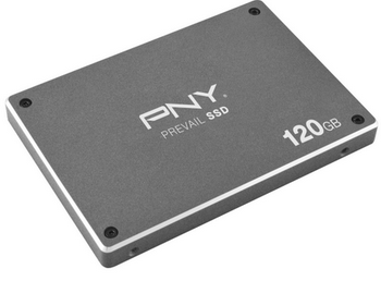 PNY Prevail SSD